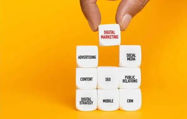 Cerchi una Consulenza Web Marketing?